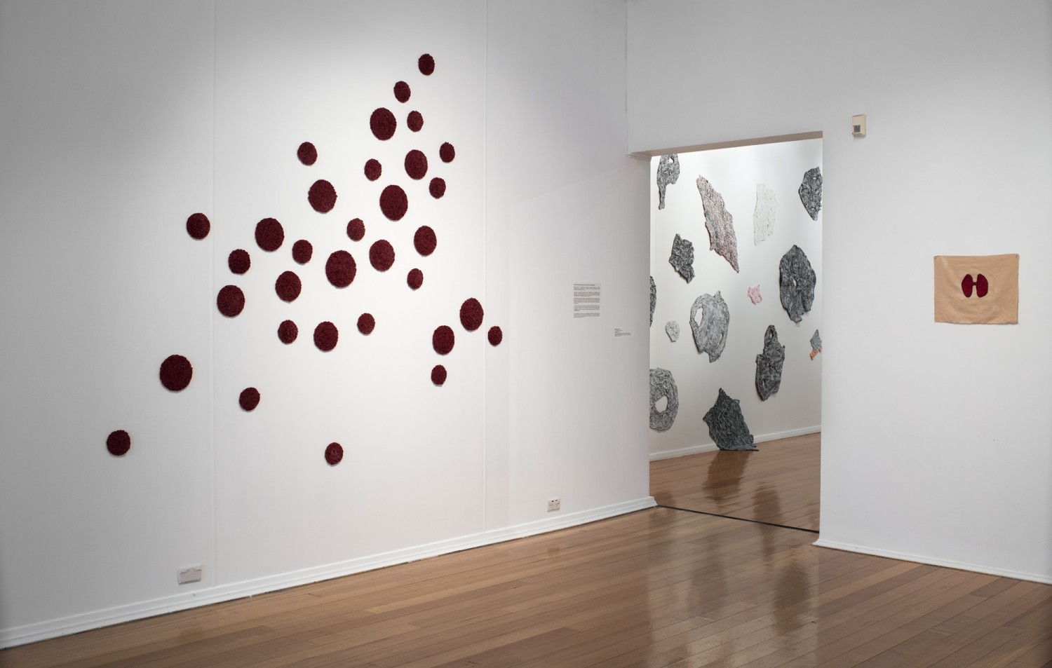 lumen, whitewash, blood is (vi) - installation view by Michele Elliot