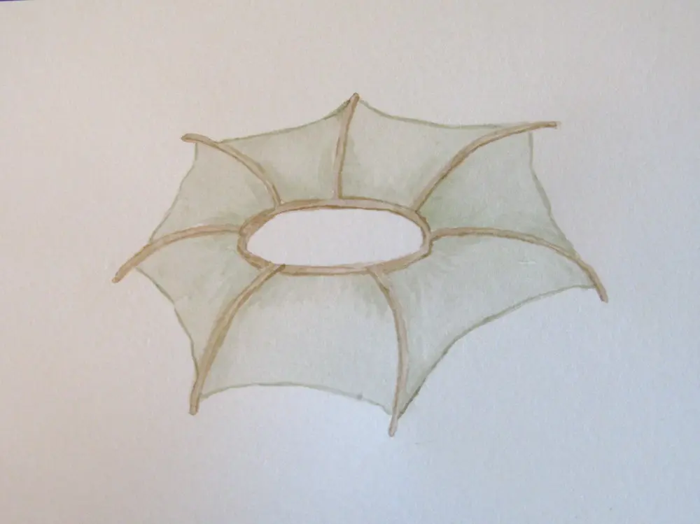 collar
