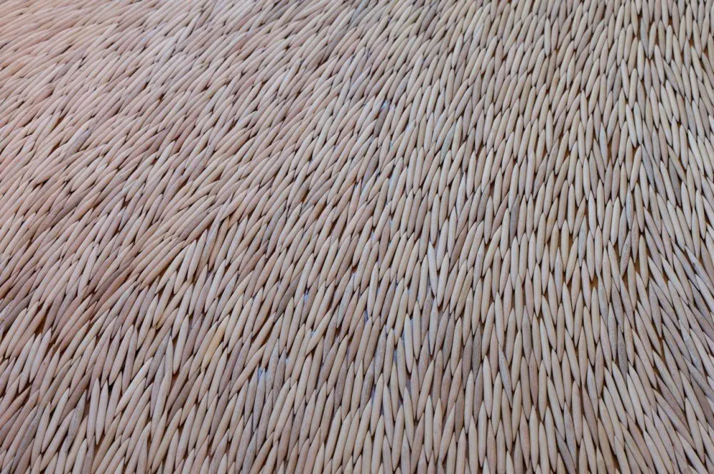 spill (detail)