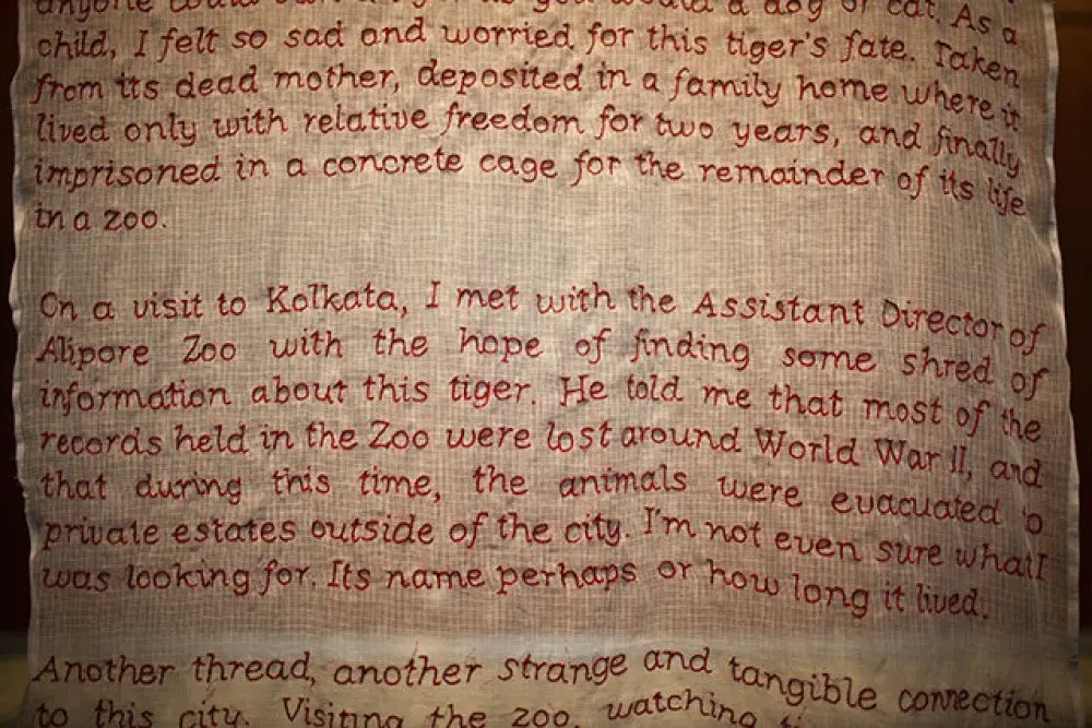 the vanishing (detail)